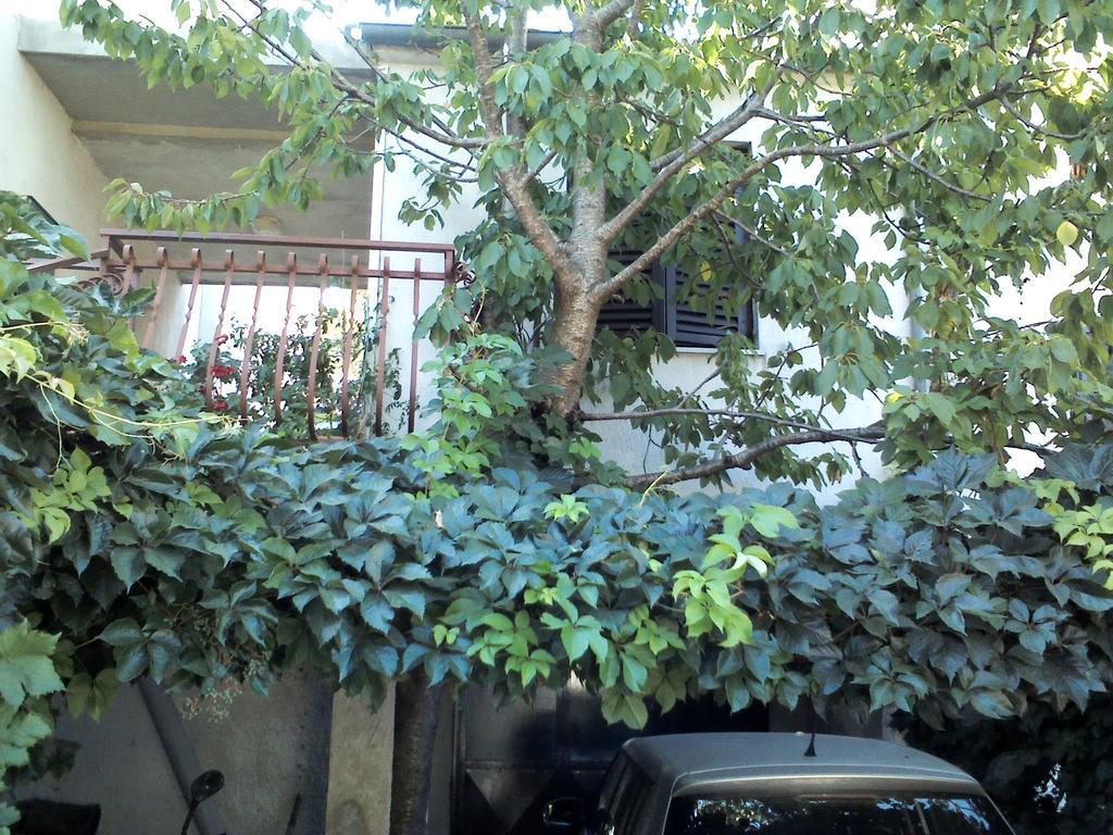 Apartment Artusi Pula Ruang foto