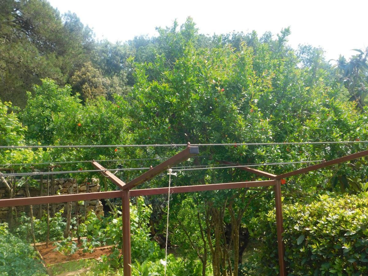 Apartment Artusi Pula Bagian luar foto